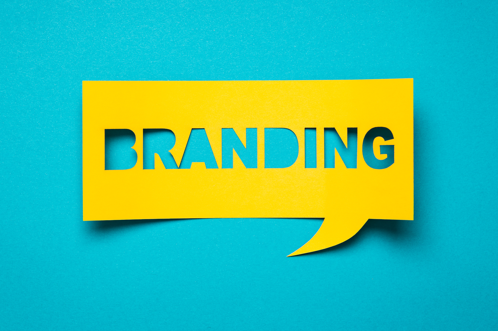Branding for Web Design by Practical Media